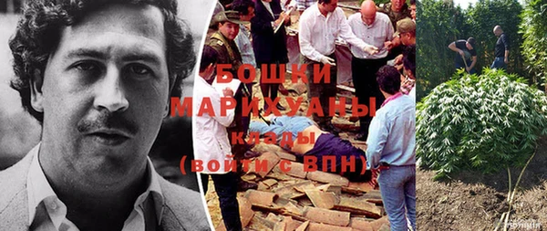 стаф Дмитров