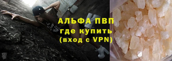 мдпв Дмитриев